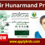 Benazir Hunarmand Programme 2025 Online Registration Open