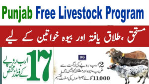 CM Punjab Free Livestock Program 2026 – Online Registration & Eligibility