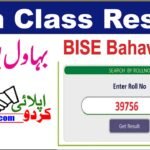 BISE Bahawalpur 9th Class Result 2025 - Check Matric Part 1 Results