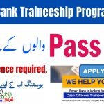 Soneri Bank Cash Officer Traineeship Program 2026 – Online Apply