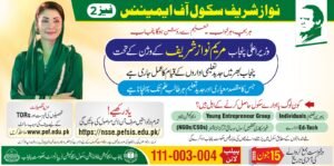 Nawaz Sharif Schools of Eminence Phase 2